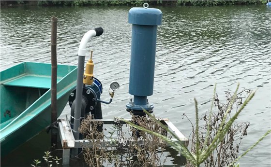 黑偉魚(yú)塘增氧 黑偉魚(yú)塘增氧