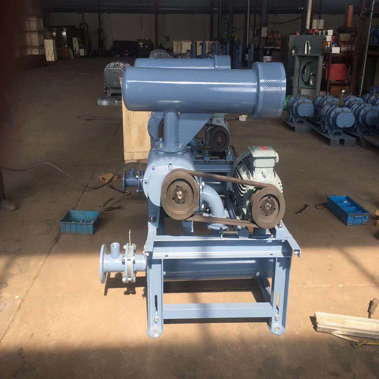 哪些因素影響羅茨鼓風(fēng)機(jī)工作效率？