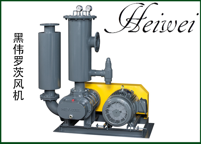 黑偉羅茨風(fēng)機(jī)