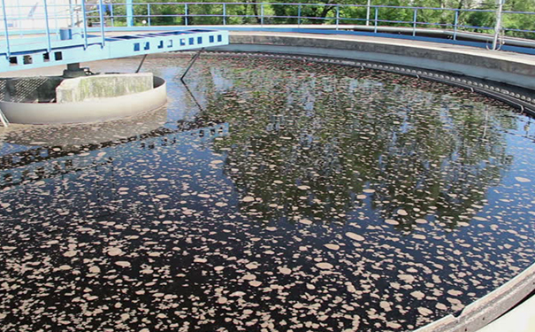 無懼污水之王！曝氣生物濾池如何清除骯臟污水？